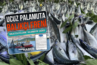 Patronlar Dünyası'nın 8 Ekim'de gündeme getirdiği palamut haberini önde gelen haber siteleri bugün fark edebildi, peki PD'nin farkı neydi ?