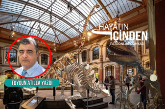 Berlin'de 150 milyon yıl önce yaşamış dev dinozorların iskeletleri arasında dolaşırken aklıma neler geldi?