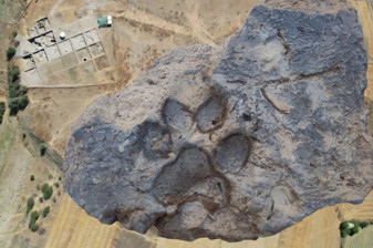 4 bin yıllık pati izleri Tavşanlı Höyük kazılarında bulundu