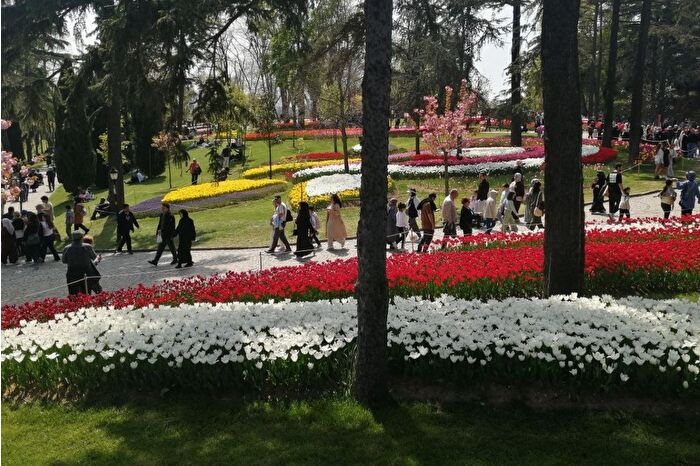 İstanbul'un turistik mekanları 7 milyonu aşkın laleyle süslendi