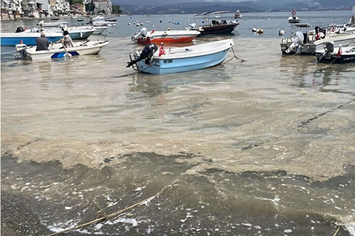 Marmara Denizi'nde Bursa kıyılarında müsilaj görüldü
