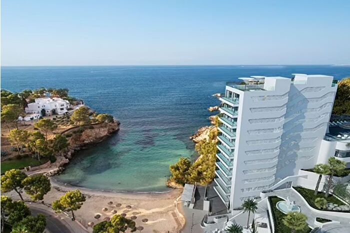 İngiliz multimilyoner, Mallorca'da iki kadına tecavüz suçlamasıyla gözaltına alındı