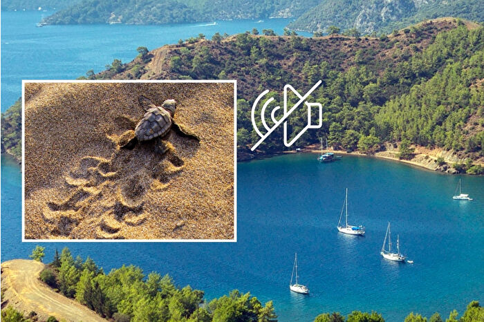Göcek koylarında sessizlik dönemi: Deniz kaplumbağaları için teknelerin belirli bir saat dışında müzik açması yasaklandı