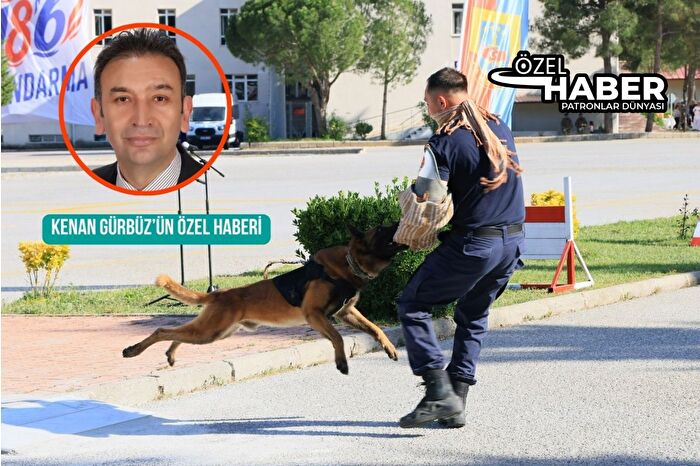 Jandarma’nın asayiş köpeği Tırmar’dan aksiyon filmlerini aratmayan gösteri