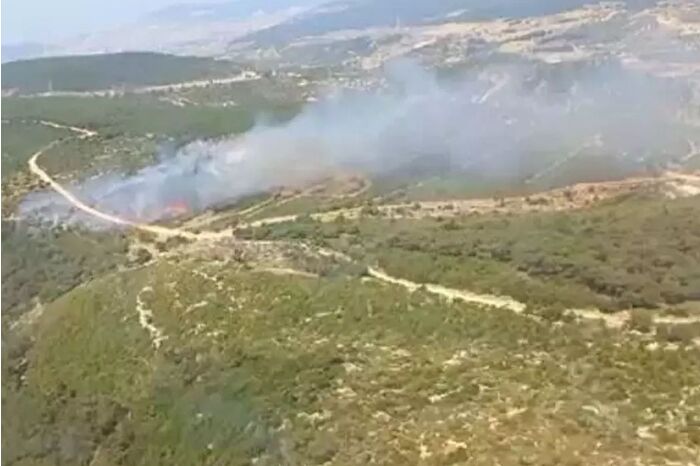 Foça'da orman yangınına 4 uçakla müdahale