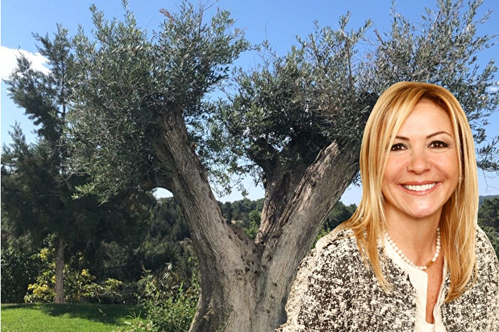 Boyner Holding Yönetim Kurulu Üyesi Ümit Boyner: Zeytinime dokunma