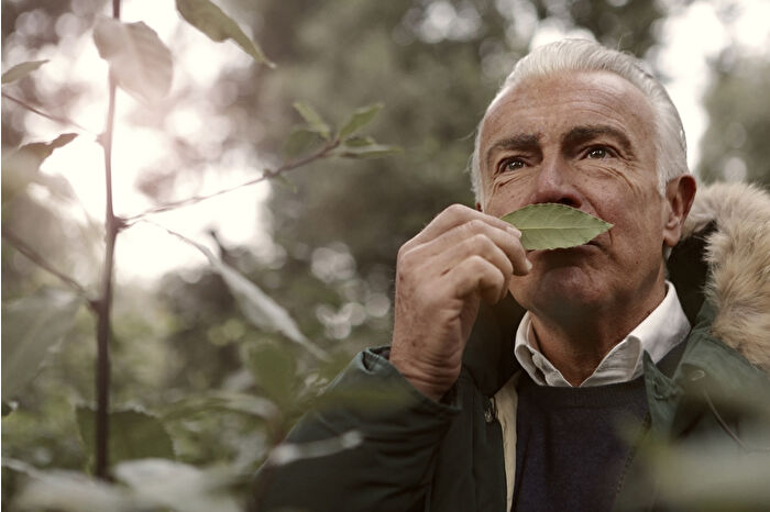 Koku alma duyusundaki zayıflama, Alzheimer ve Parkinson’un ilk belirtisi olabilir