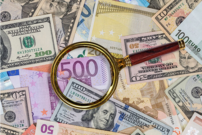 Bu hafta yatırım araçlarından dolar ve euro kazandırdı
