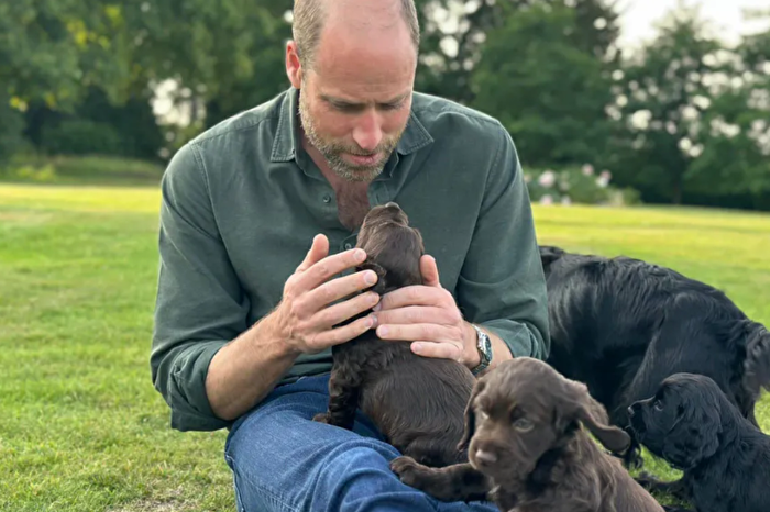 Kensington’dan doğum günü pozu: Prens William’a yavru köpekli kutlama