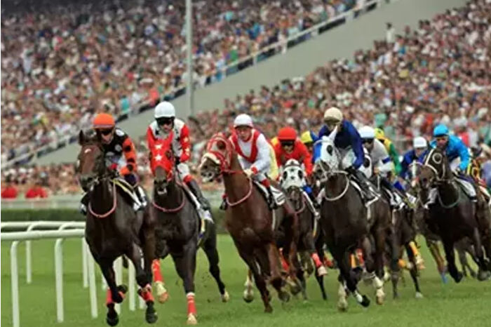 29 Haziran’da 2400 metrelik çim piste çıkacak 26 tay arasından biri tarihe geçecek