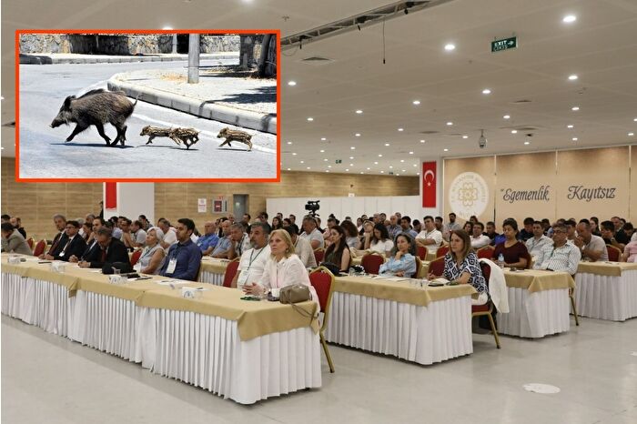 Muğla’da ‘Yaban Domuzlarının Doğaya, Biyolojik Çeşitliliğe ve Halk Sağlığına Etkileri’ konulu toplantı yapıldı
