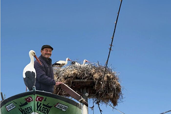 Yaren leyleğin yavruları halkalandı