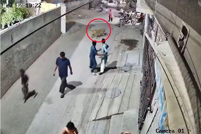 Sokakta aslan dehşeti: 3 yaralı var