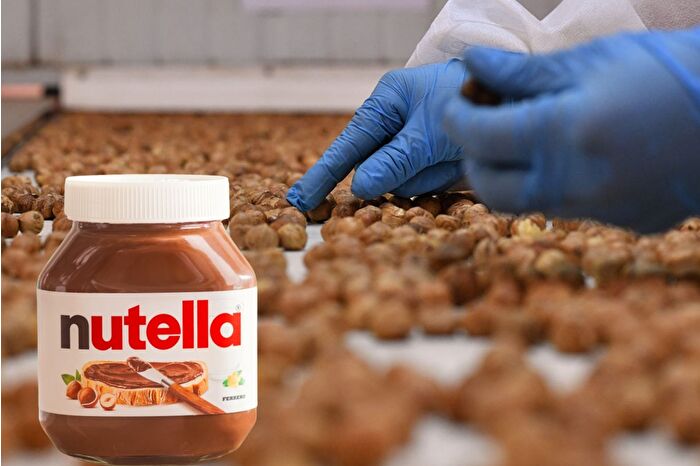 Rekabet Kurumu, Nutella'nın üreticisi Ferrero firmasına fındık yasağı geldiği iddiasını yalanladı