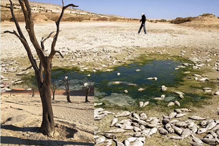 BM raporu uyardı: Türkiye 2030'da kuraklık ve su kriziyle karşı karşıya