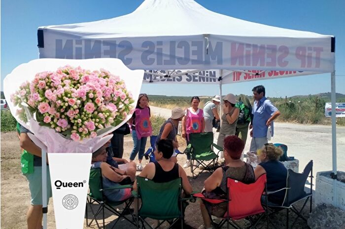Danimarka basınından, Queen Company'ye İzmir takibi