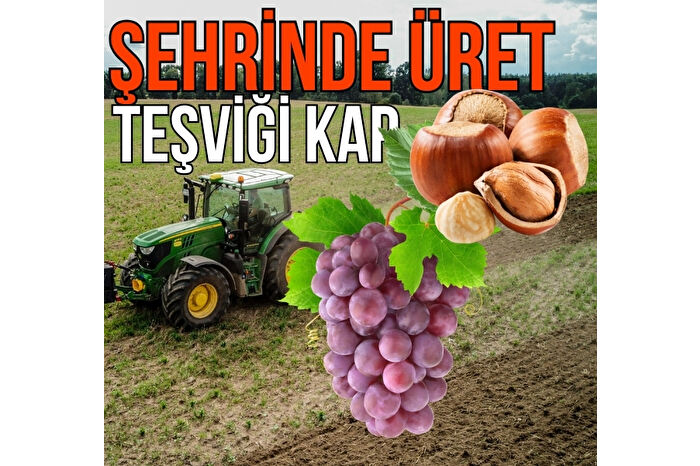 Teşvikte yol haritası çıkarılarak her bölge kendi alanında markalaşacak