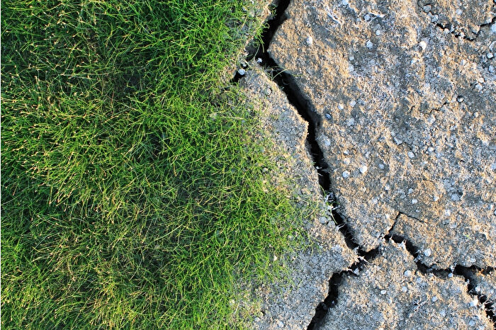 Kuraklık nedeniyle debisi düşen Lüleburgaz Deresi yosunla kaplandı