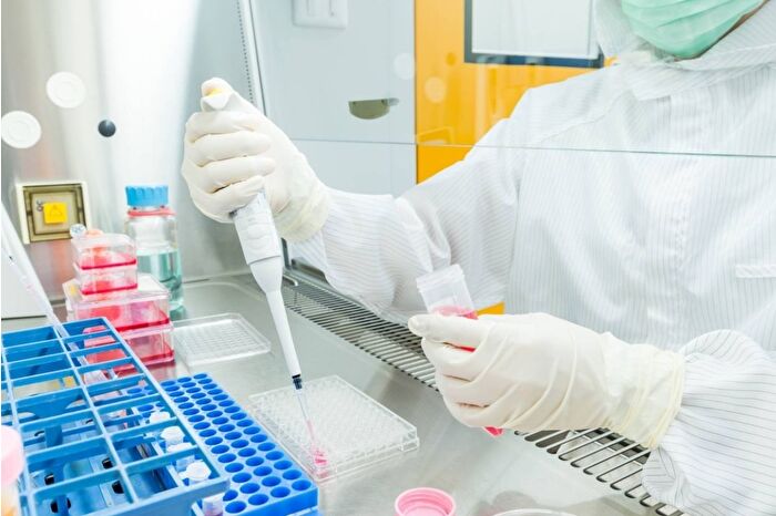 Japonya'da kök hücreden insan embriyosu üretimine onay 