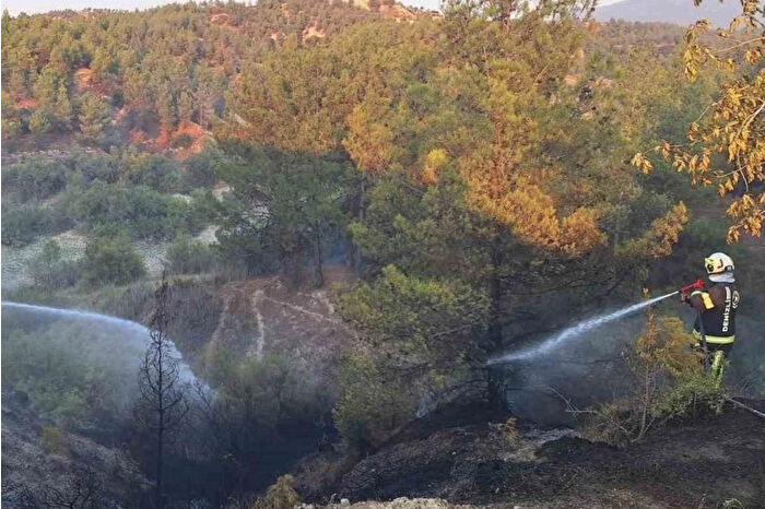 Orman yangınlarıyla oluşan 'kül taşınımı' bir haftadan fazla sürebilir