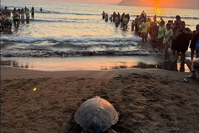 6 yıl sonra Dalyan’a dönen Tuba, ikinci dünya turuna çıktı