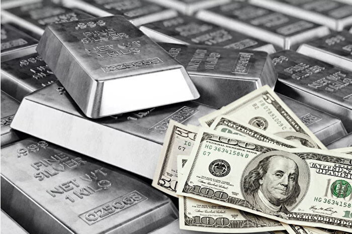 Zayıflayan dolar gümüşü 14 yılın zirvesine taşıdı