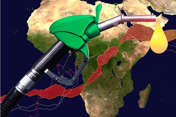 Güney Afrika’da mahkeme, TotalEnergies ve Shell’in petrol arama iznini iptal etti