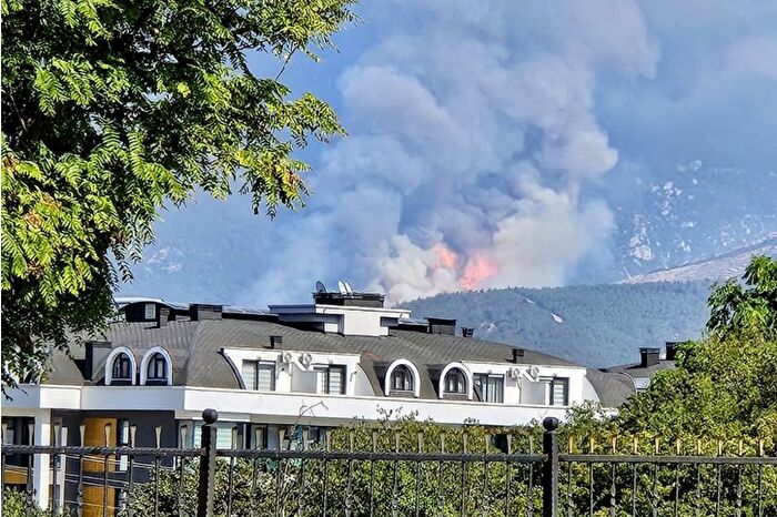 Denizli’de orman yangını başladı
