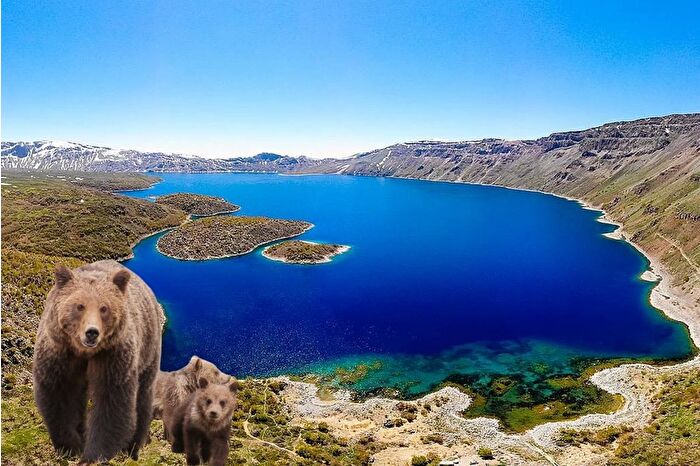 Nemrut Krater Gölü ve Kalderası'nda ayı tehdidi: Ziyarete kapatıldı