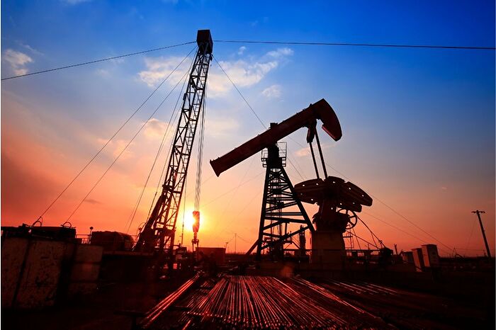 TPAO'nun iki sahasında petrol arama ruhsatının süresi uzatıldı