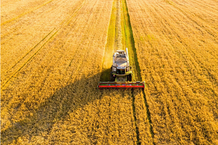 Tarım ÜFE ağustosta aylık yüzde 3,45 geriledi, yıllık artış yüzde 41,55’e ulaştı: TÜİK verileri açıklandı