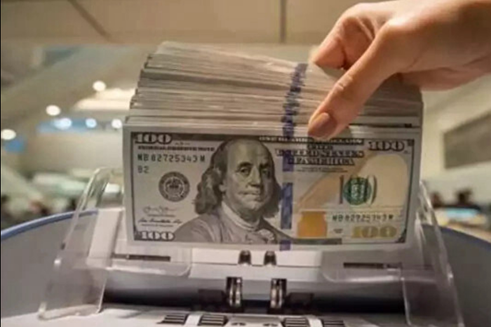 Merkez Bankası açıkladı: Net Uluslararası Yatırım Pozisyonu açığı temmuzda arttı