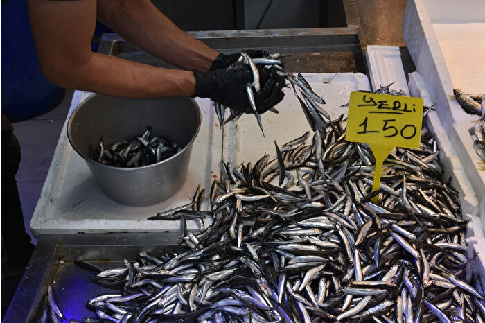 Balık bollaştı hamsi ve istavritin kilosu 150 TL'ye düştü