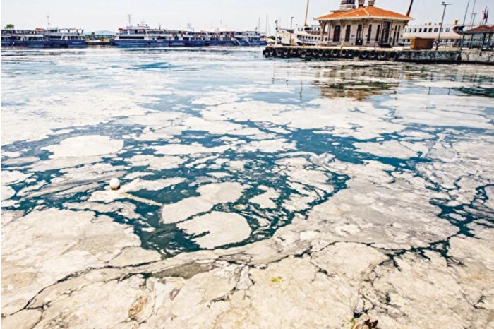 Müsilaj görülen illerdeki balıkçılara ilave ödeme yapılacağı duyuruldu