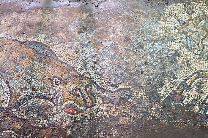 Mardin'de tarihi eser operasyonunda yaklaşık 1500 yıllık mozaik bulundu