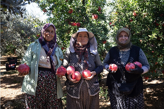 Türkiye'deki narın dörtte birinin üretildiği Antalya ihracatta ilk sırada
