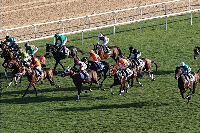 At yarışlarında Cumhuriyet ve Cumhurbaşkanlığı koşuları yapıldı