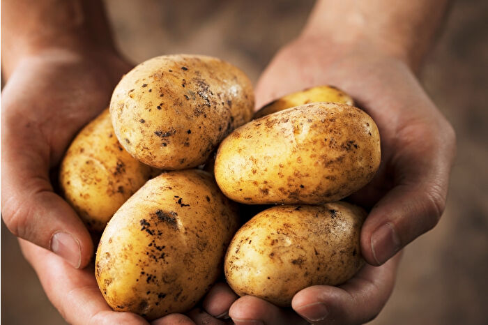 Ticaret Bakanlığı patates fiyatlarındaki artış iddialarını yalanladı ve gerçek raf fiyatının 12,75 lira olduğunu açıkladı