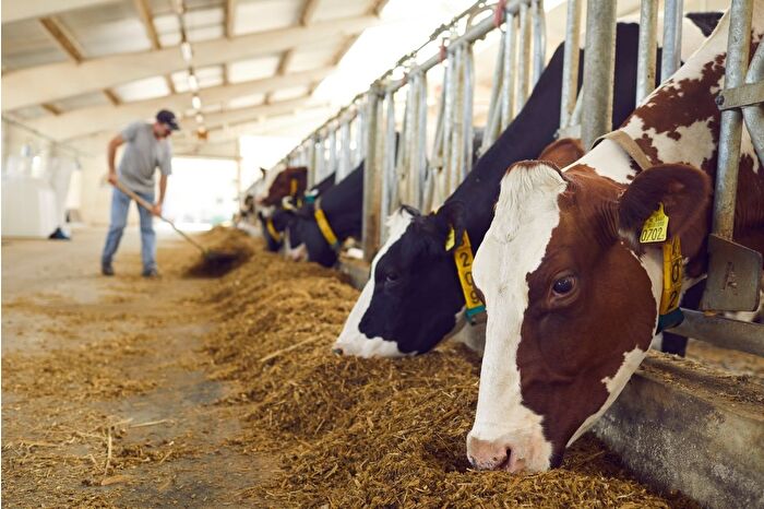 Tarım ve Orman Bakanlığı, hayvancılık destekleme esaslarını güncelledi
