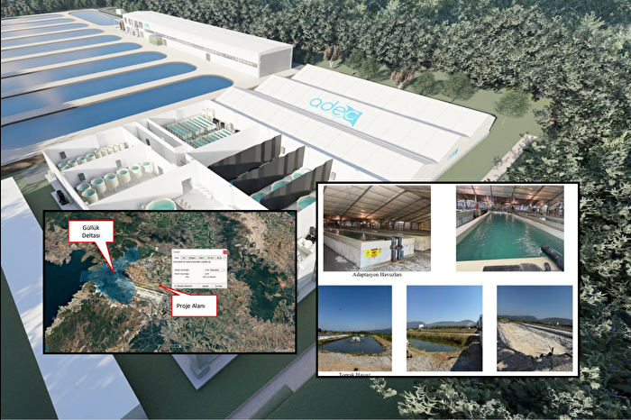 Milas'ta ADEC Akvaryum’un su ürünleri tesisinin kapasite artırımına onay