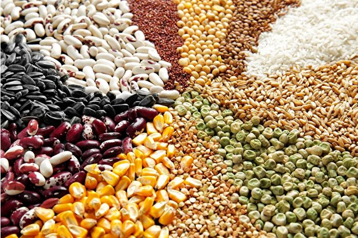 FAO'ya göre, küresel gıda fiyatları arzdaki artışla ekimde yüzde 1,6 geriledi