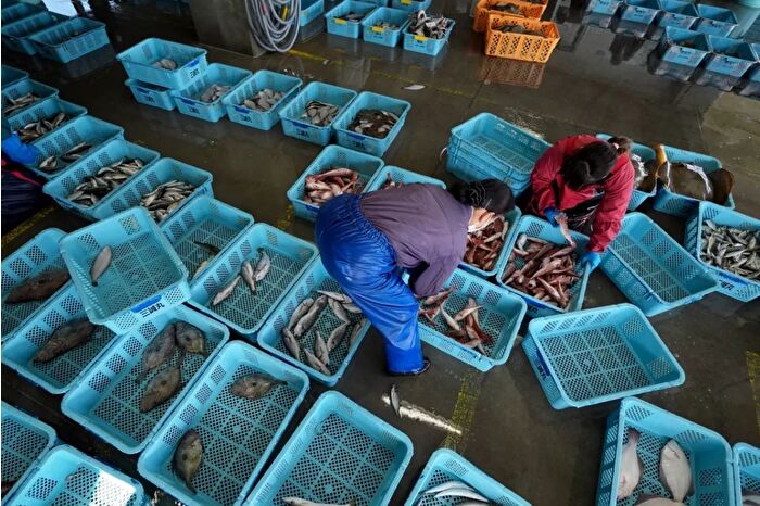 Fukuşima yasağının kalkmasının ardından Japonya’dan Çin’e ilk deniz ürünü sevkiyatı yapıldı