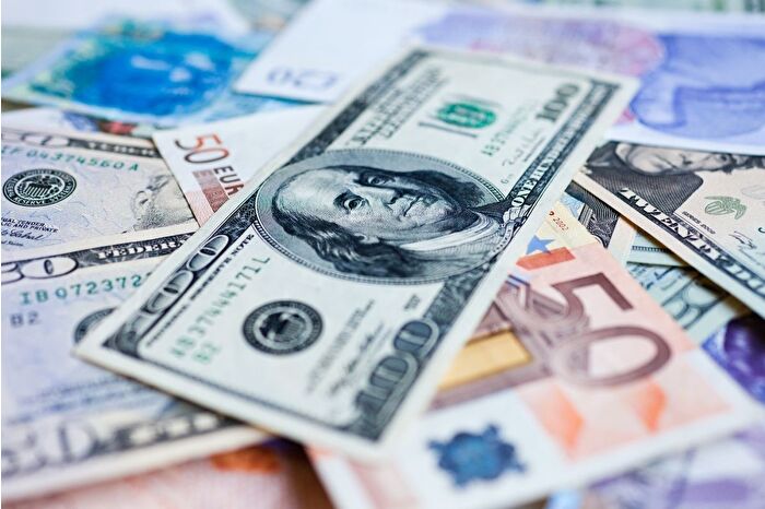 Bu hafta yatırım araçlarından en fazla döviz kazandırdı