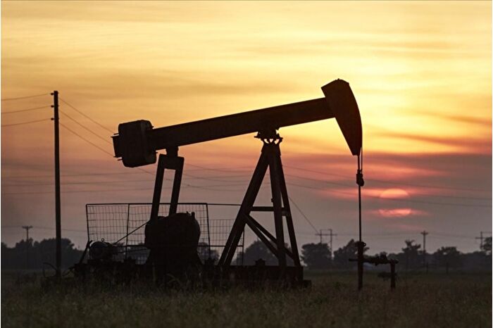 ABD Başkanı Donald Trump yönetimi, Alaska'daki rezervde yaban hayatını koruyan sondaj sınırlamalarını kaldırdı