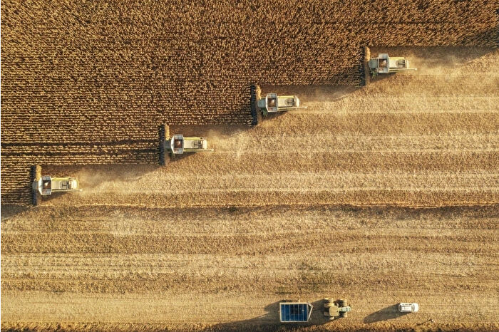 Çiftçilere 331 milyon 664 bin lira tarımsal destek ödemesi bugün yapılacak