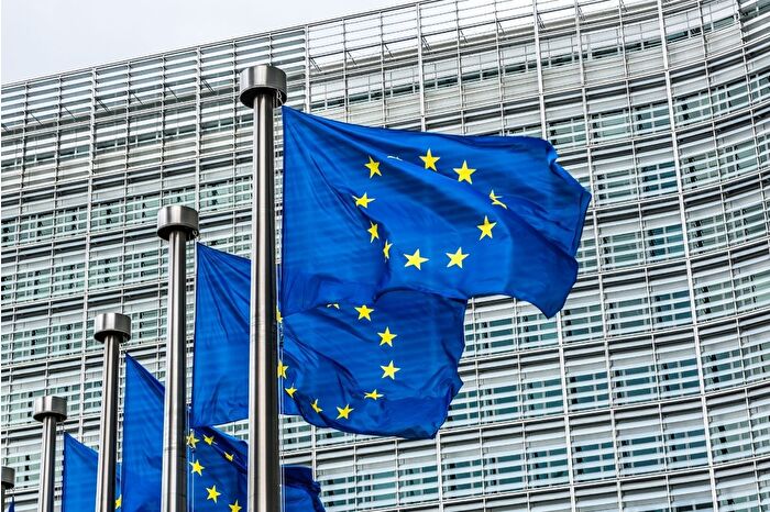 AB ve 11 ülkeden, ABD'nin Ukrayna'da barış planına ilişkin ortak açıklama