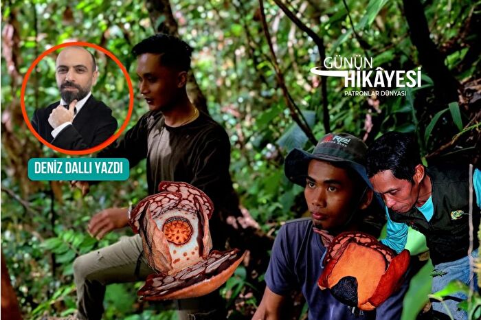Sumatra yağmur ormanlarında dünyanın en nadir çiçeği olarak nitelendirilen 'Rafflesia hasseltii'nin keşfi, çiçek avcısını ağlattı