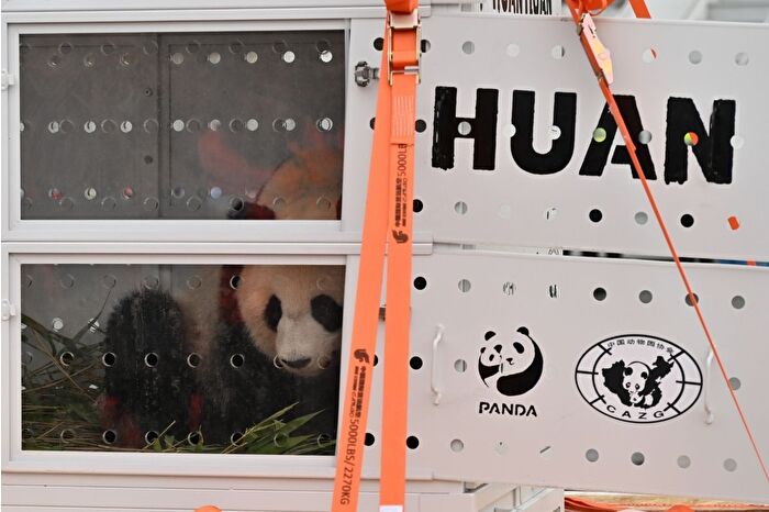 Dünyaca ünlü dev pandalar Huan Huan ve Yuan Zi, Paris'ten Çin’e gönderildi