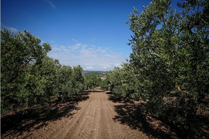 Kuraklık ve azalan yağış nedeniyle meyve ve sebzede verim kaybı yaşanıyor