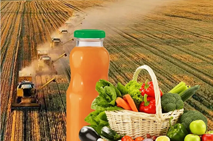 Tarım, gıda ve içecek sektöründen 10 ayda 22,2 milyar dolarlık ihracat